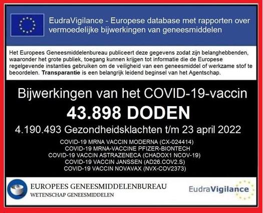 EudraVigilance CoFlu19
                              vaccine deaths