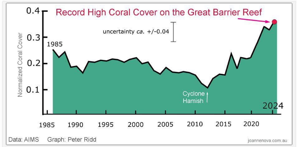 Coral Reefs